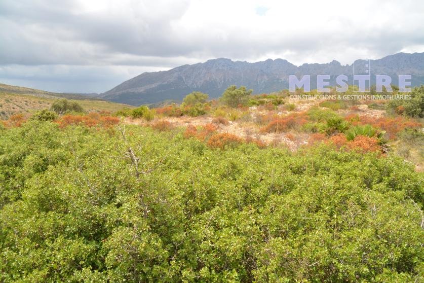 Terreno de 38.000m2, en Marnes, Lliber