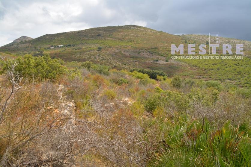 Terreno de 38.000m2, en Marnes, Lliber
