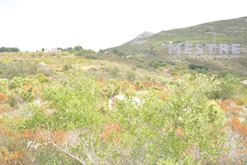 Terreno de 38.000m2, en Marnes, Lliber