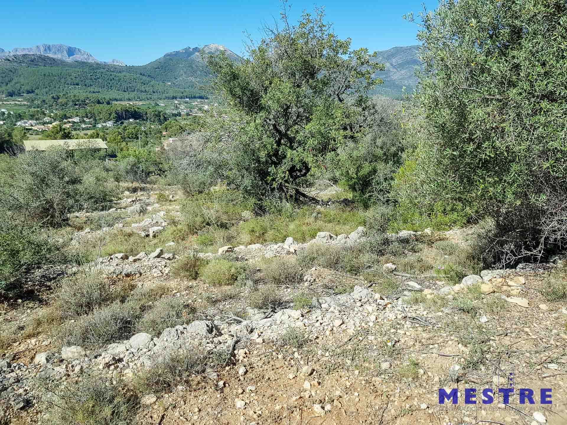 Land for sale in Jalon