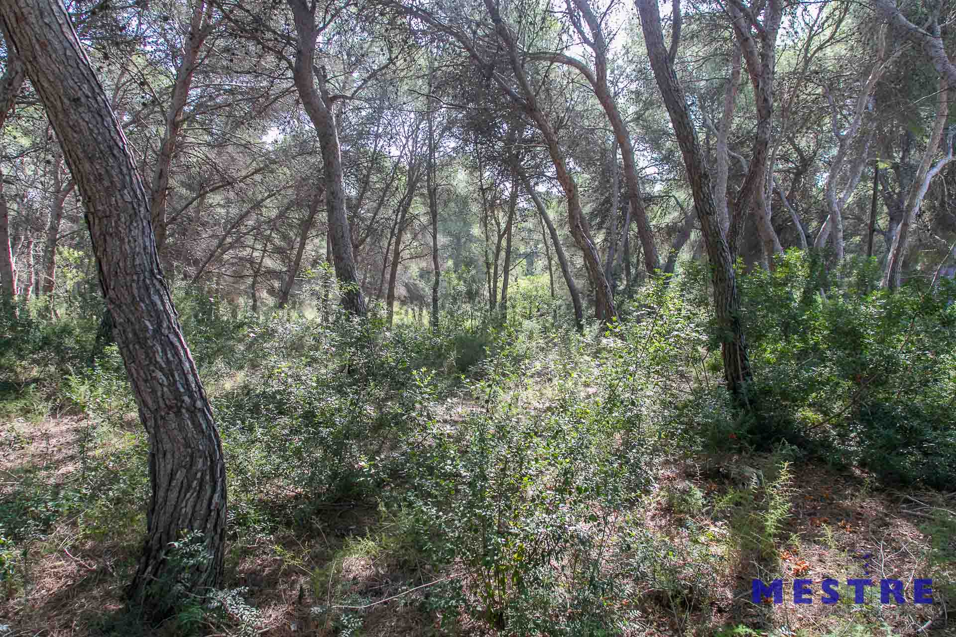 Terreno en venta en Moraira