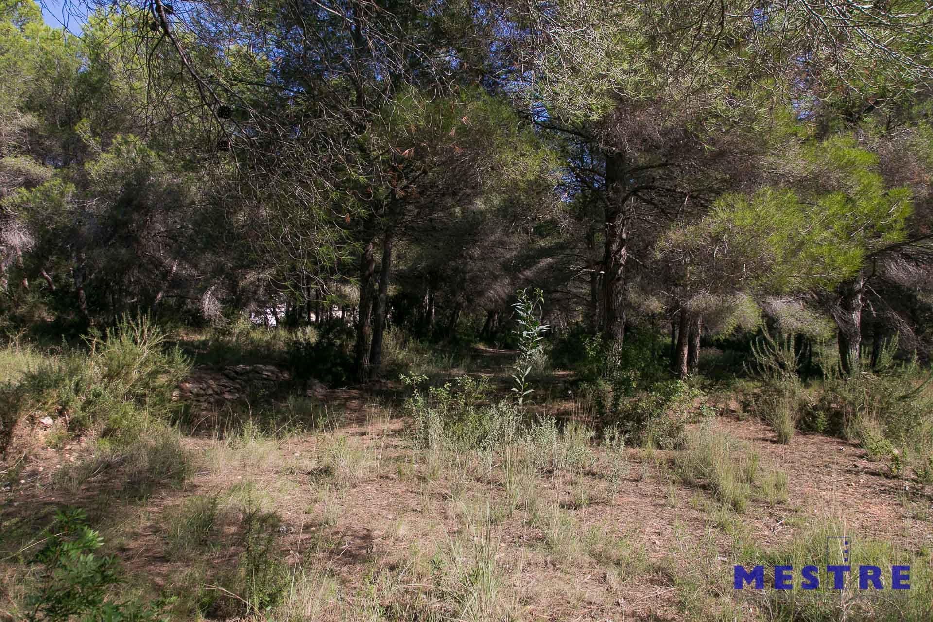 Terreno en venta en Moraira