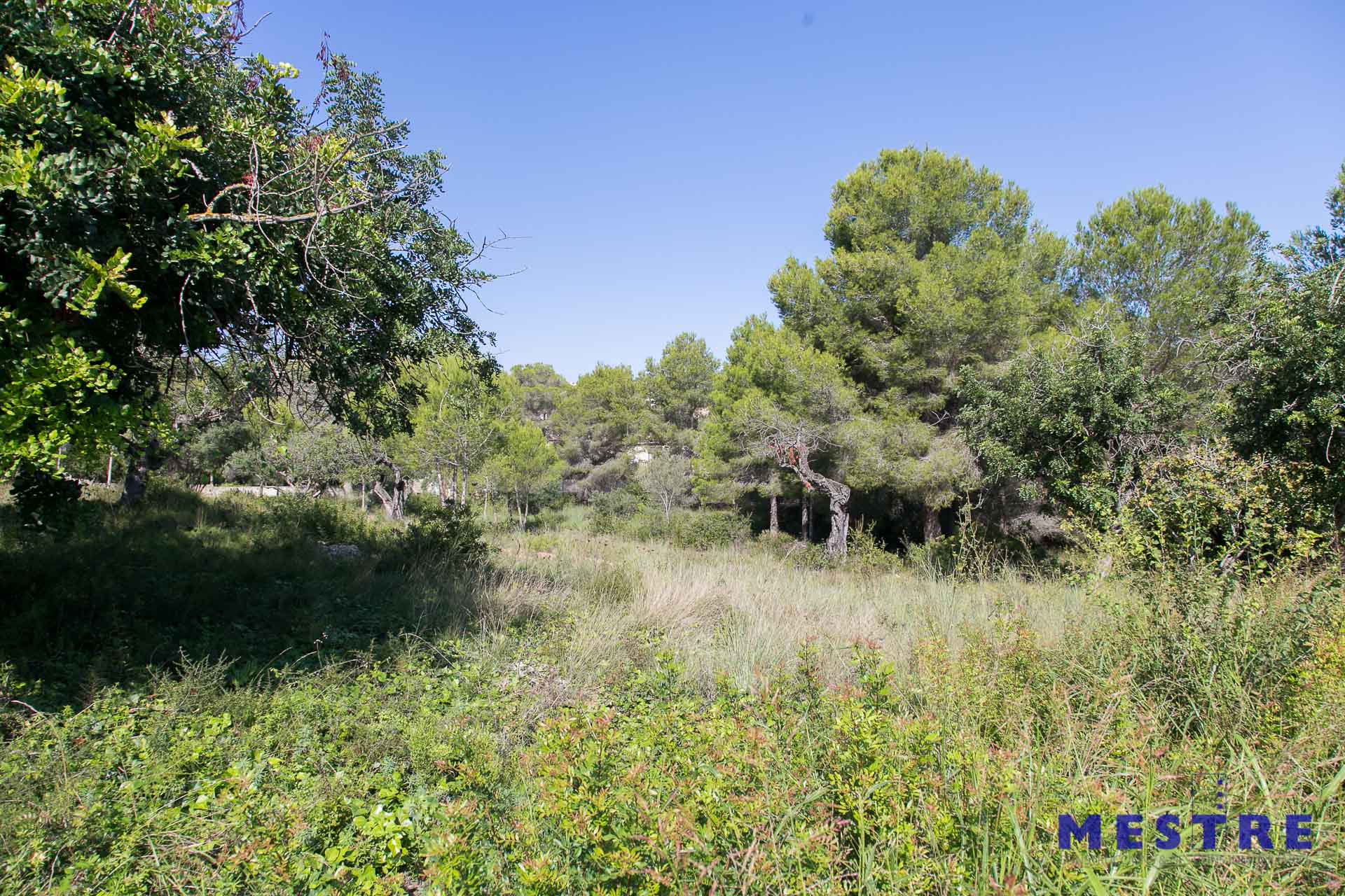 Terreno en venta en Moraira