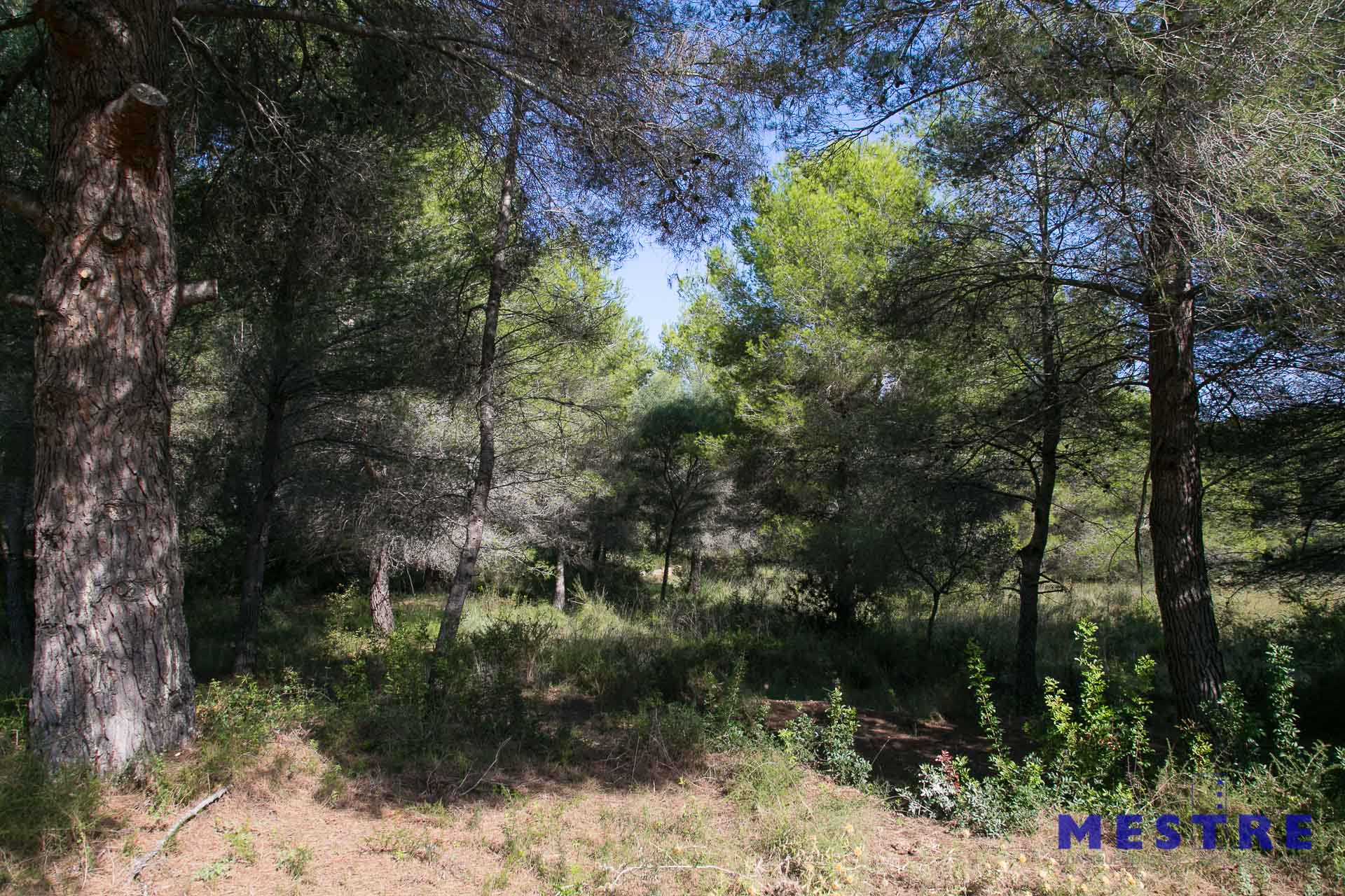 Terreno en venta en Moraira