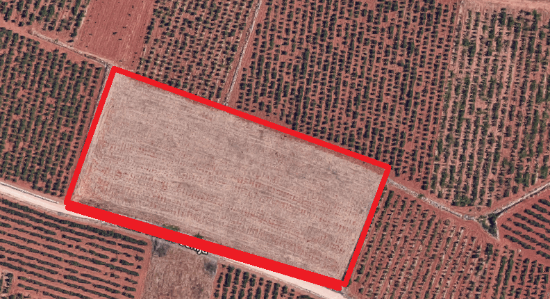 Terreno de cultivo, en Lliber