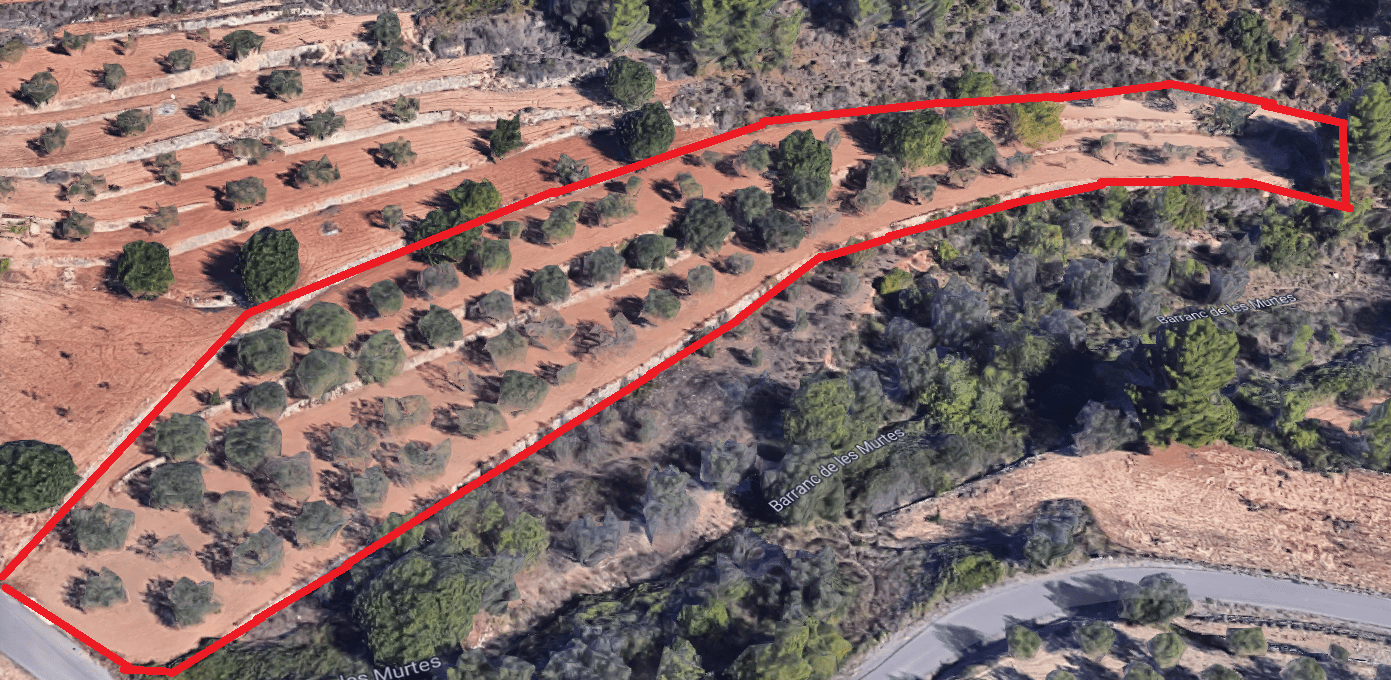 Terreno de cultivo en venta en Jalón
