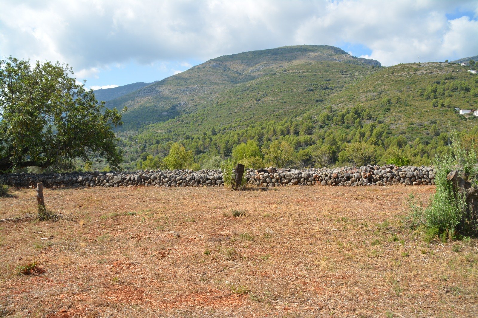 Land for sale in Benigembla