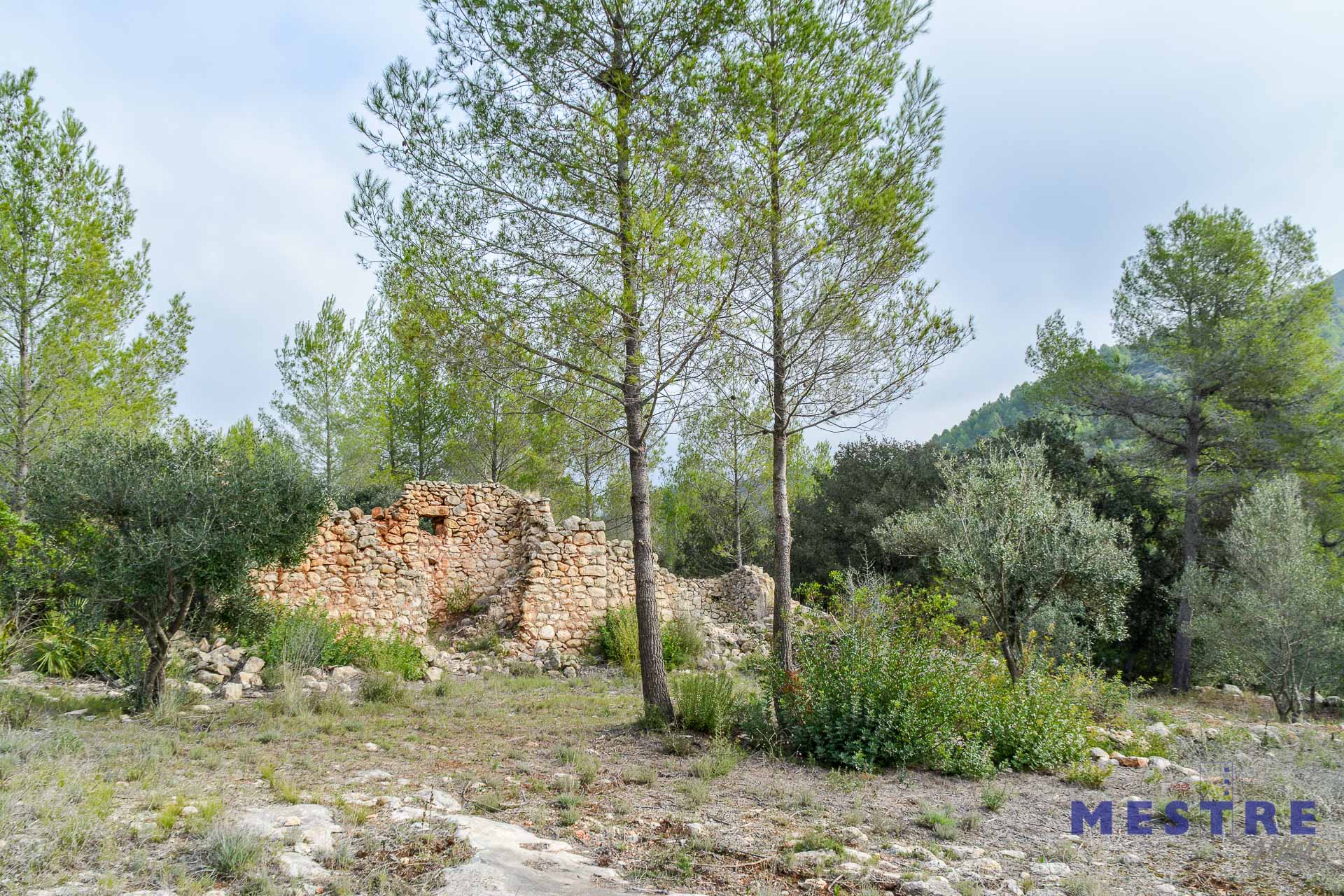 Parcela con ruina en venta en Alcalalí