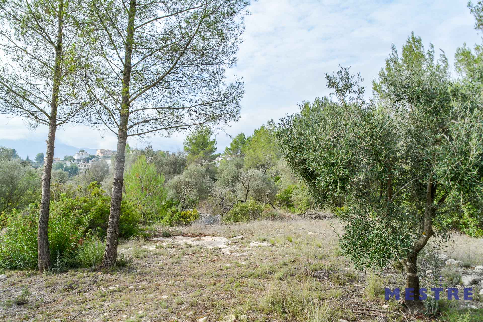 Parcela con ruina en venta en Alcalalí