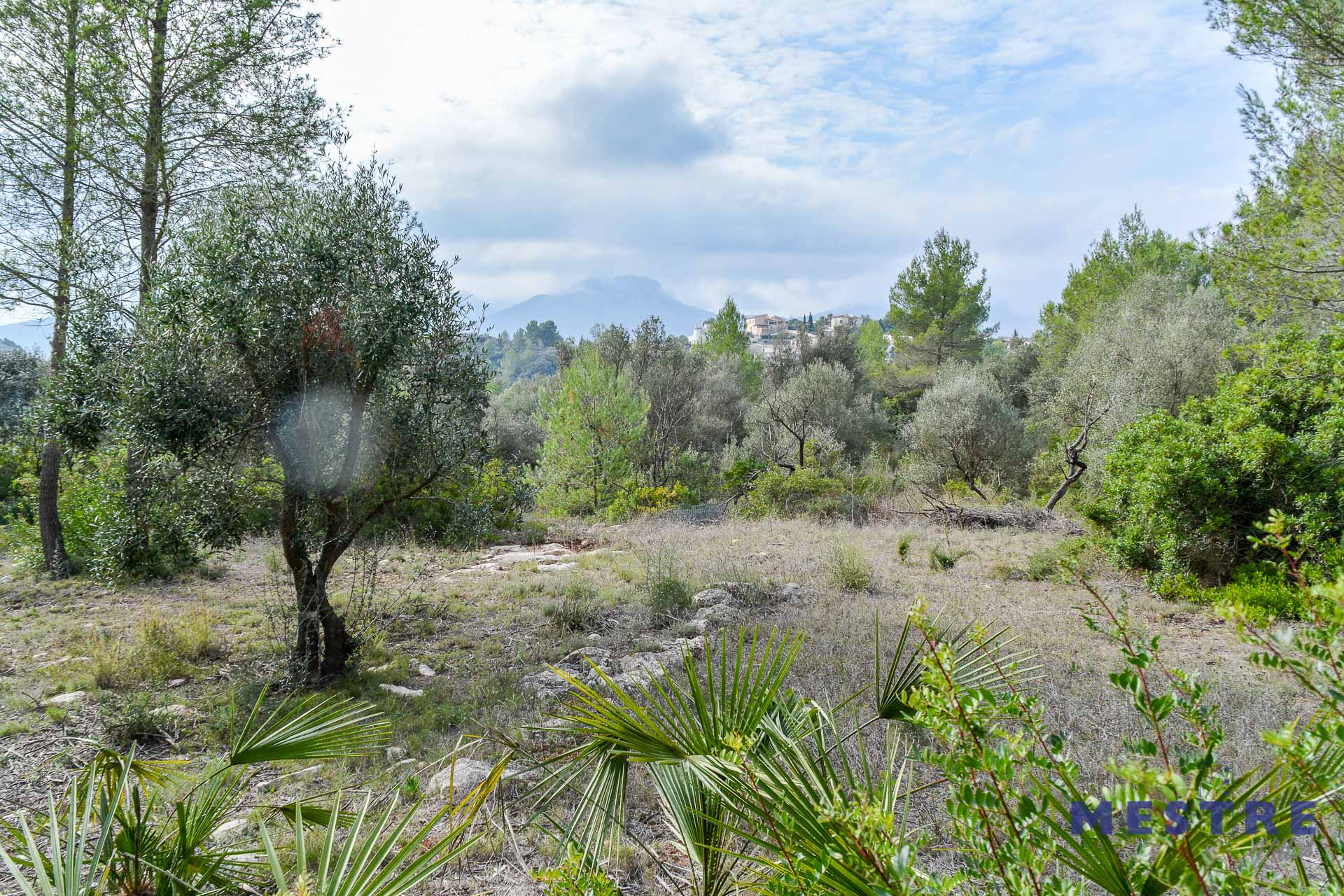 Parcela con ruina en venta en Alcalalí