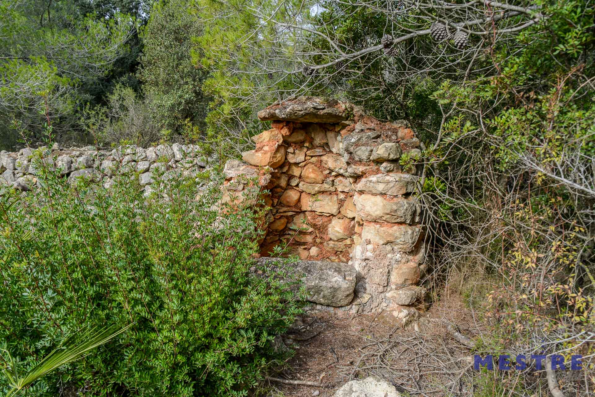 Parcela con ruina en venta en Alcalalí