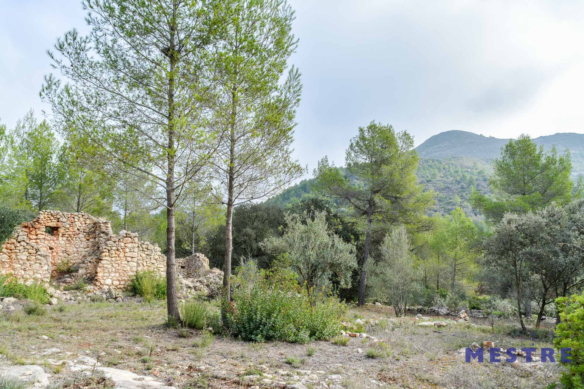 Parcela con ruina en venta en Alcalalí