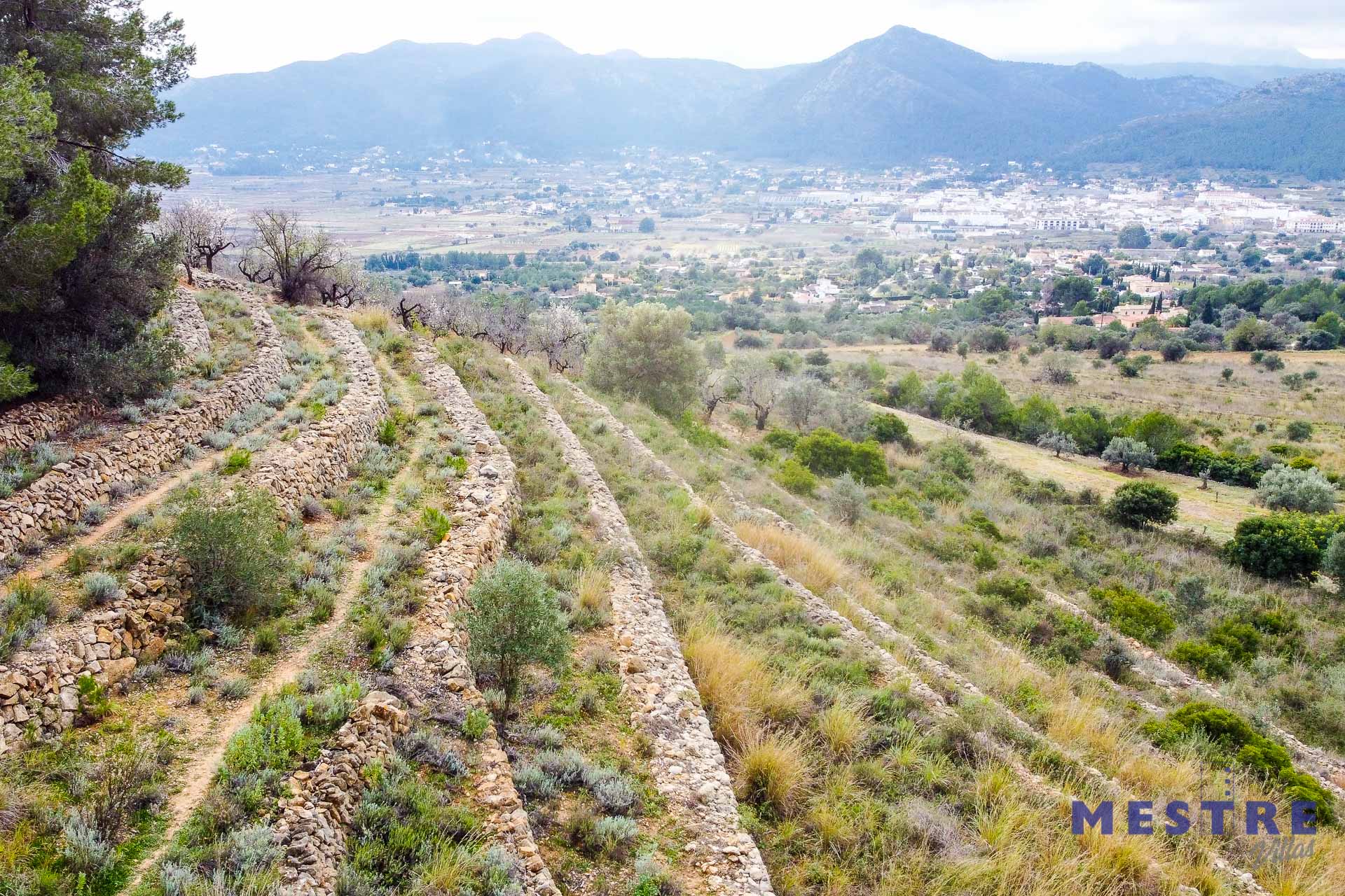 Terreno en venta en Jalón / Xaló