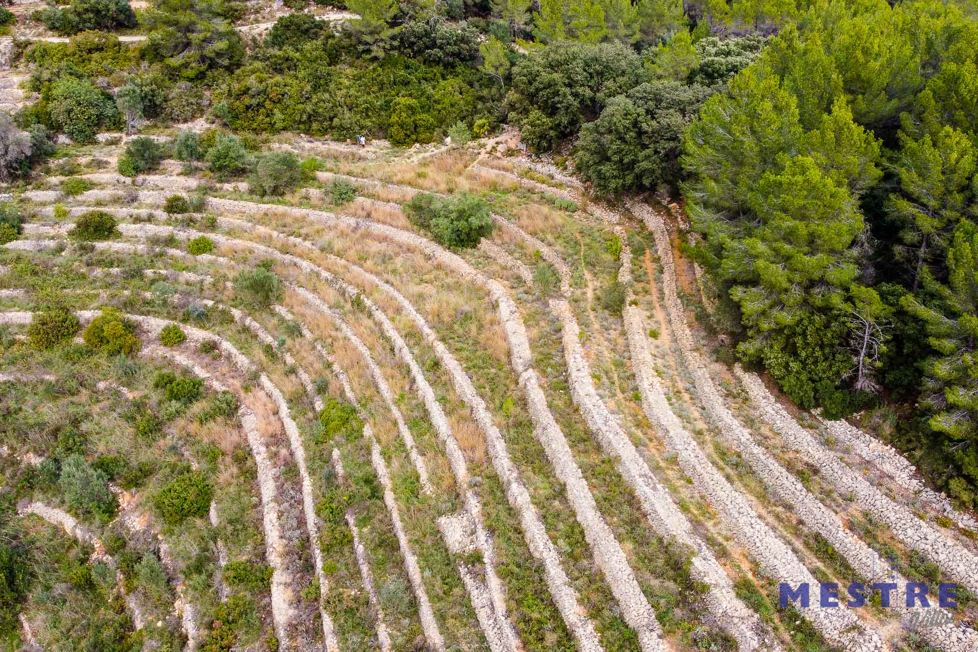Terreno en venta en Jalón / Xaló