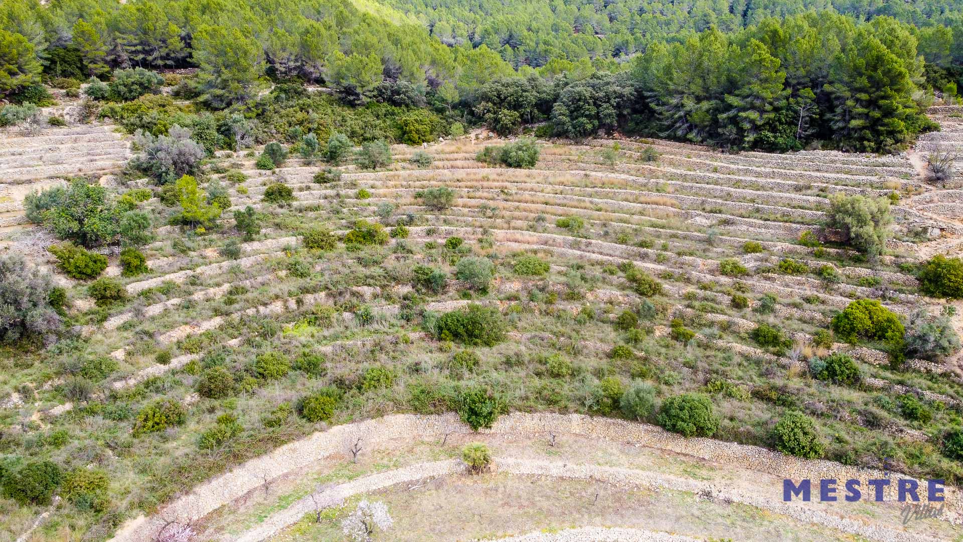 Terreno en venta en Jalón / Xaló
