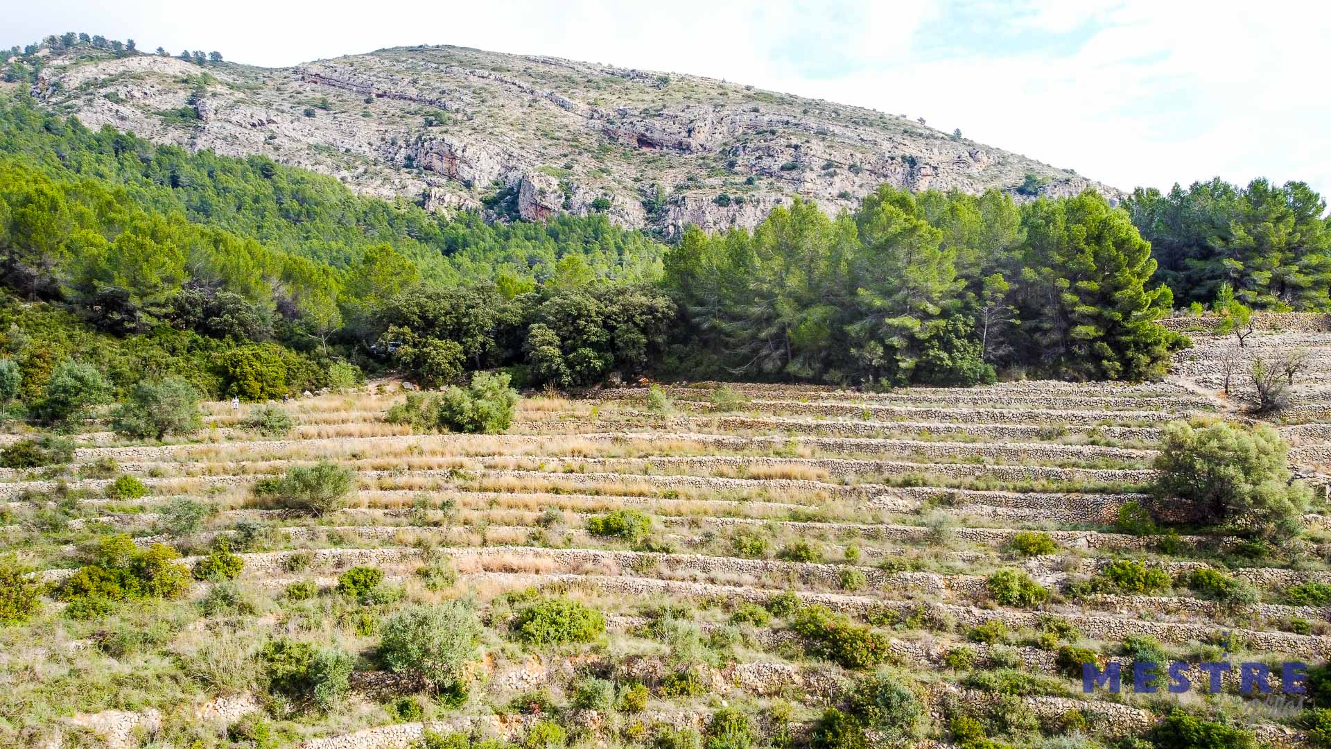 Terreno en venta en Jalón / Xaló