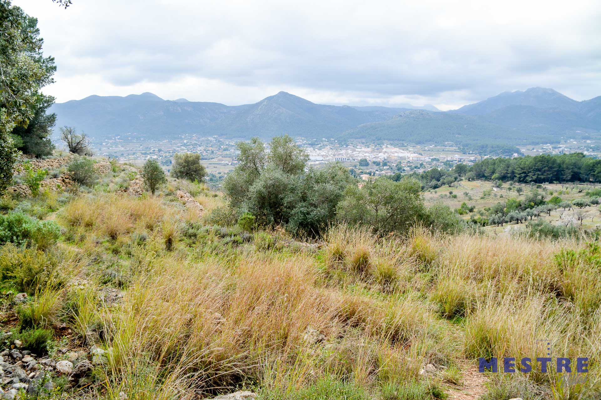 Terreno en venta en Jalón / Xaló