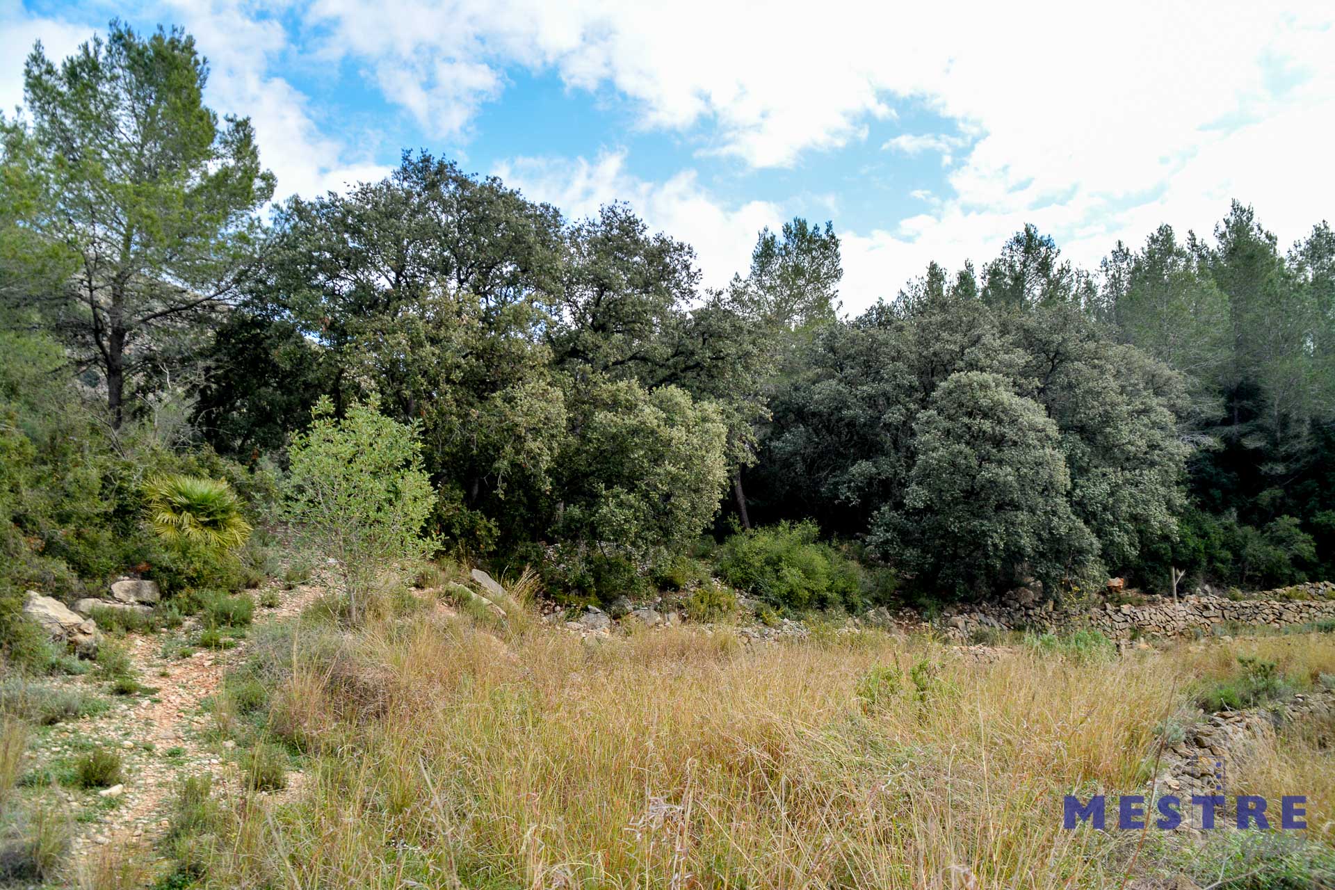 Terreno en venta en Jalón / Xaló