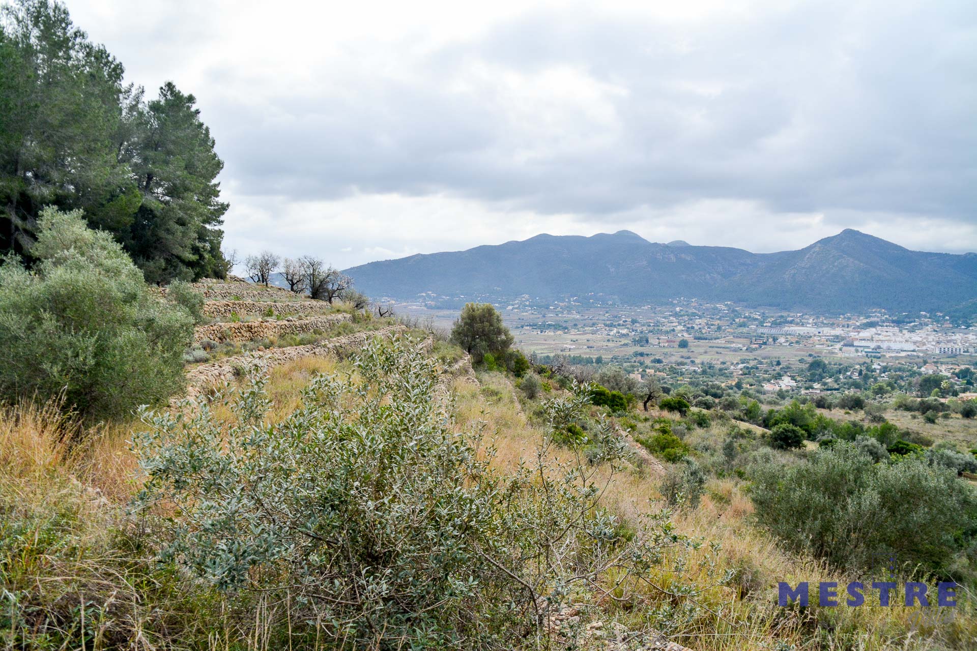 Terreno en venta en Jalón / Xaló