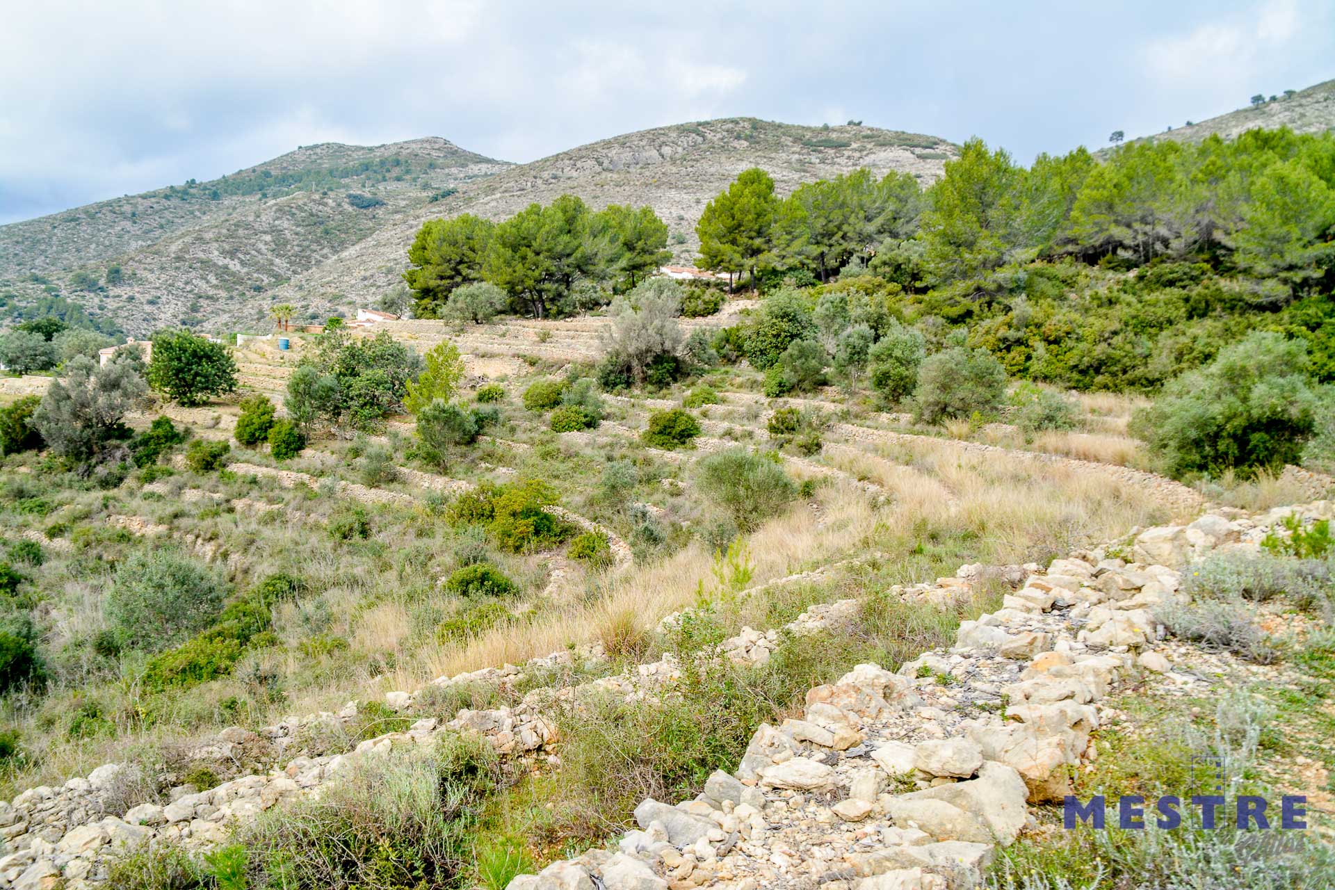 Terreno en venta en Jalón / Xaló