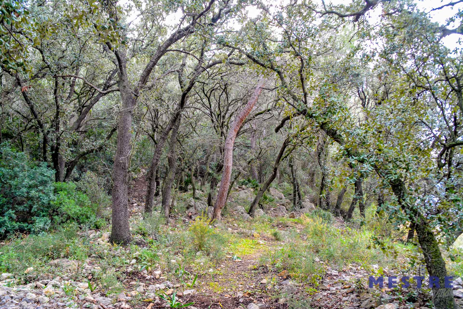 Terreno en venta en Jalón / Xaló