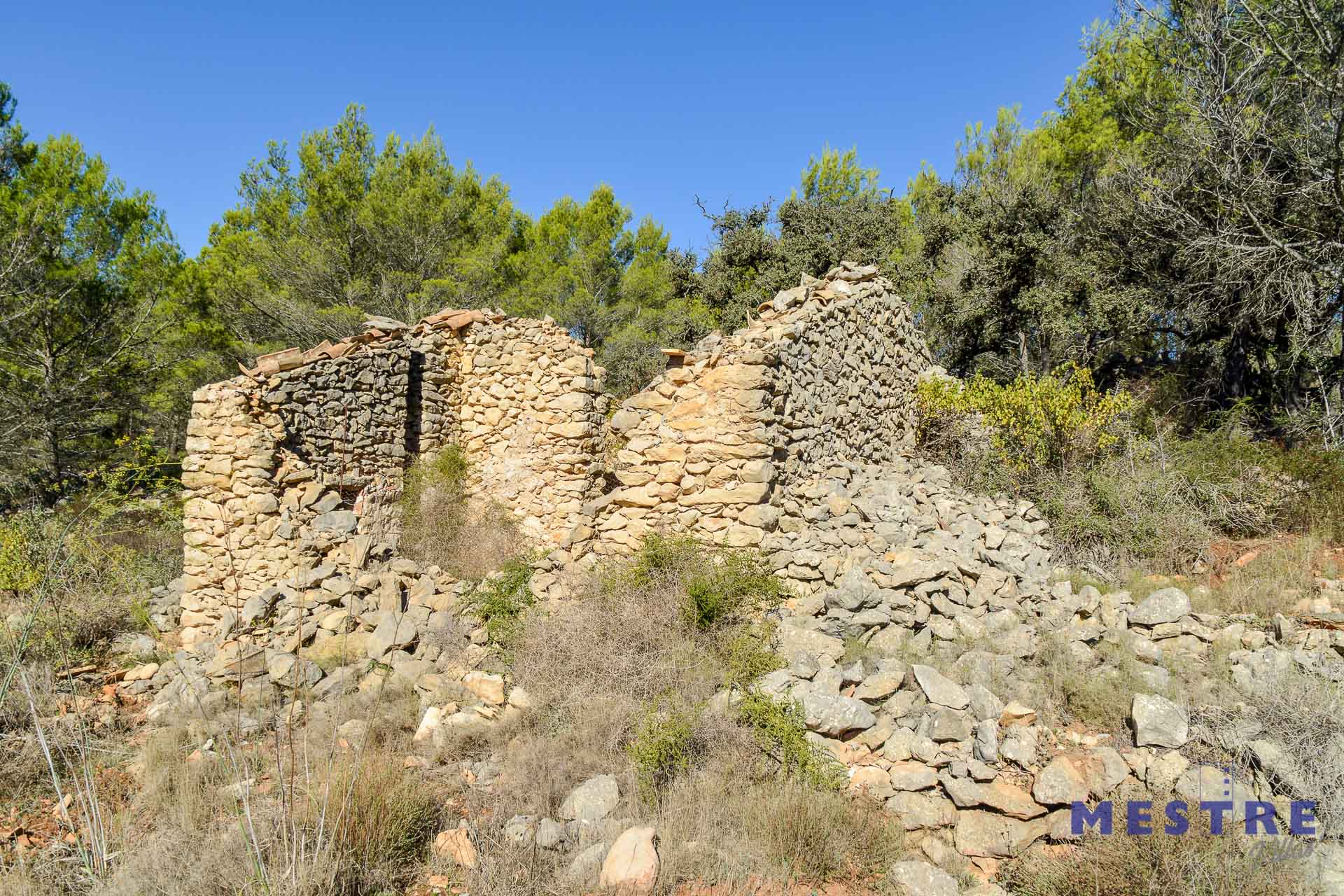 Parcela con ruina de piedra en venta en Bernia, Jalón