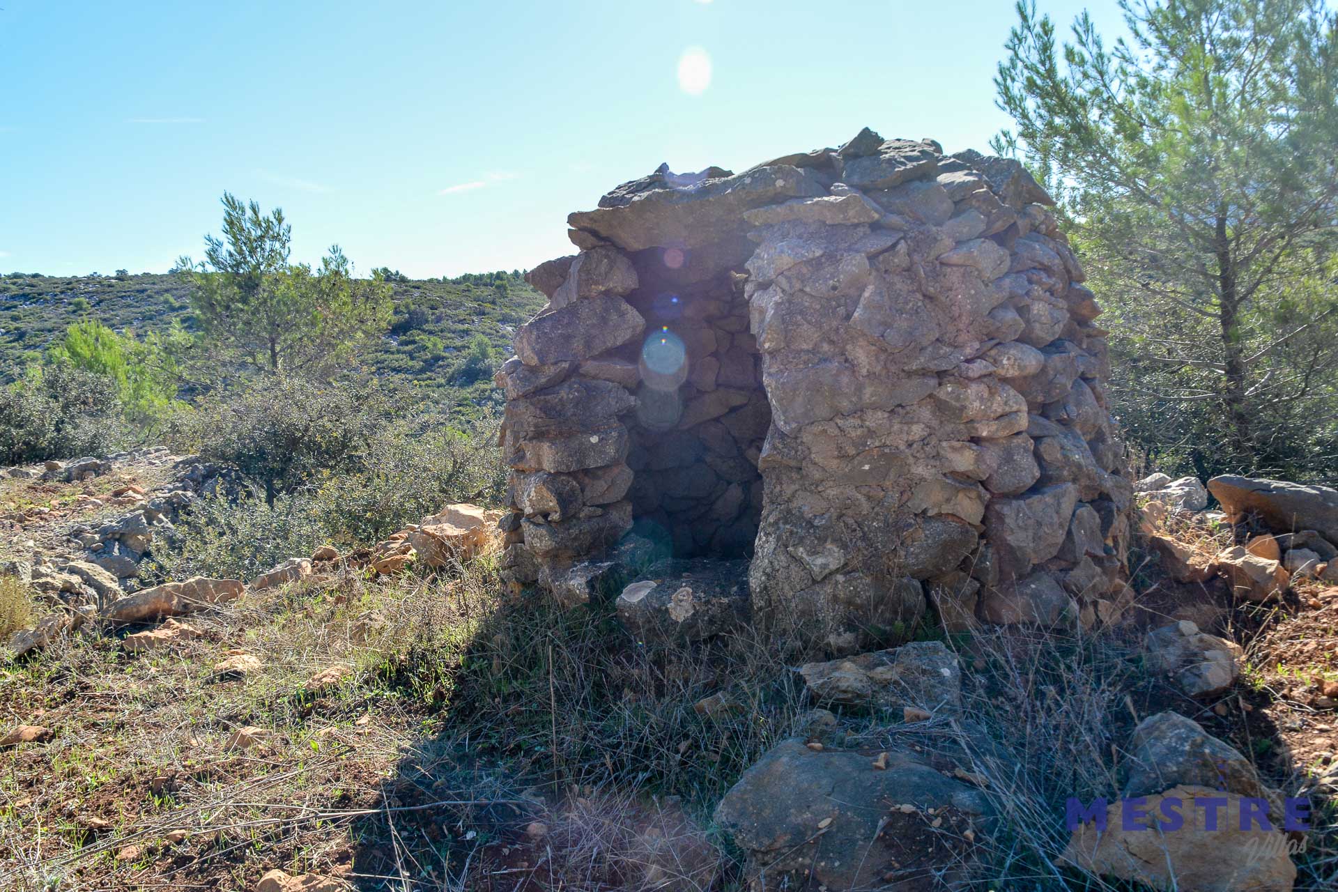 Parcela con ruina de piedra en venta en Bernia, Jalón