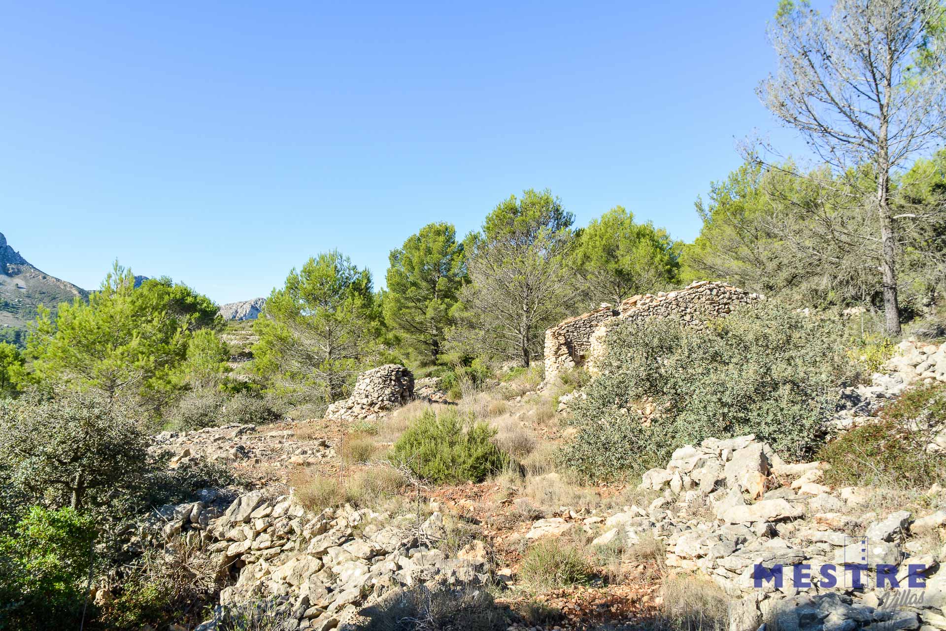 Parcela con ruina de piedra en venta en Bernia, Jalón
