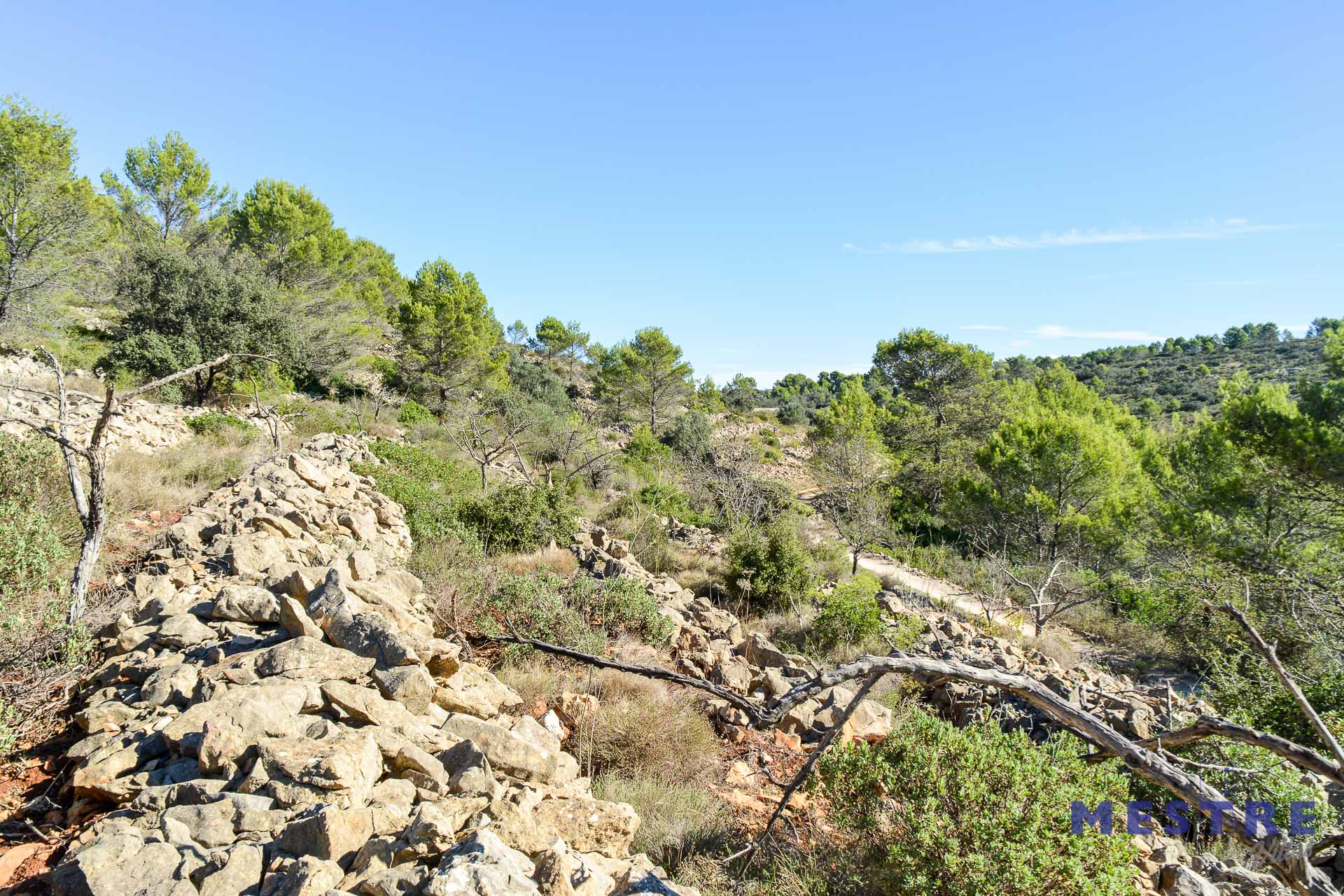 Parcela con ruina de piedra en venta en Bernia, Jalón