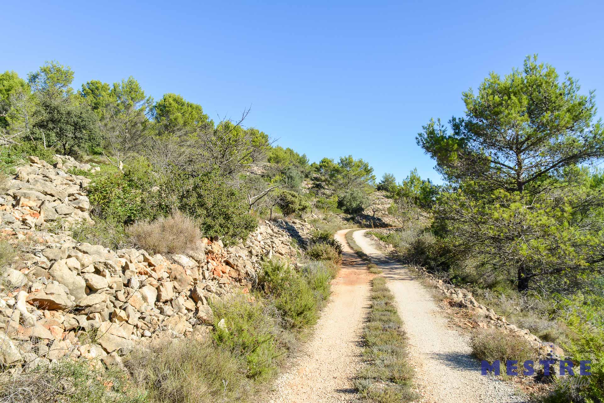 Parcela con ruina de piedra en venta en Bernia, Jalón