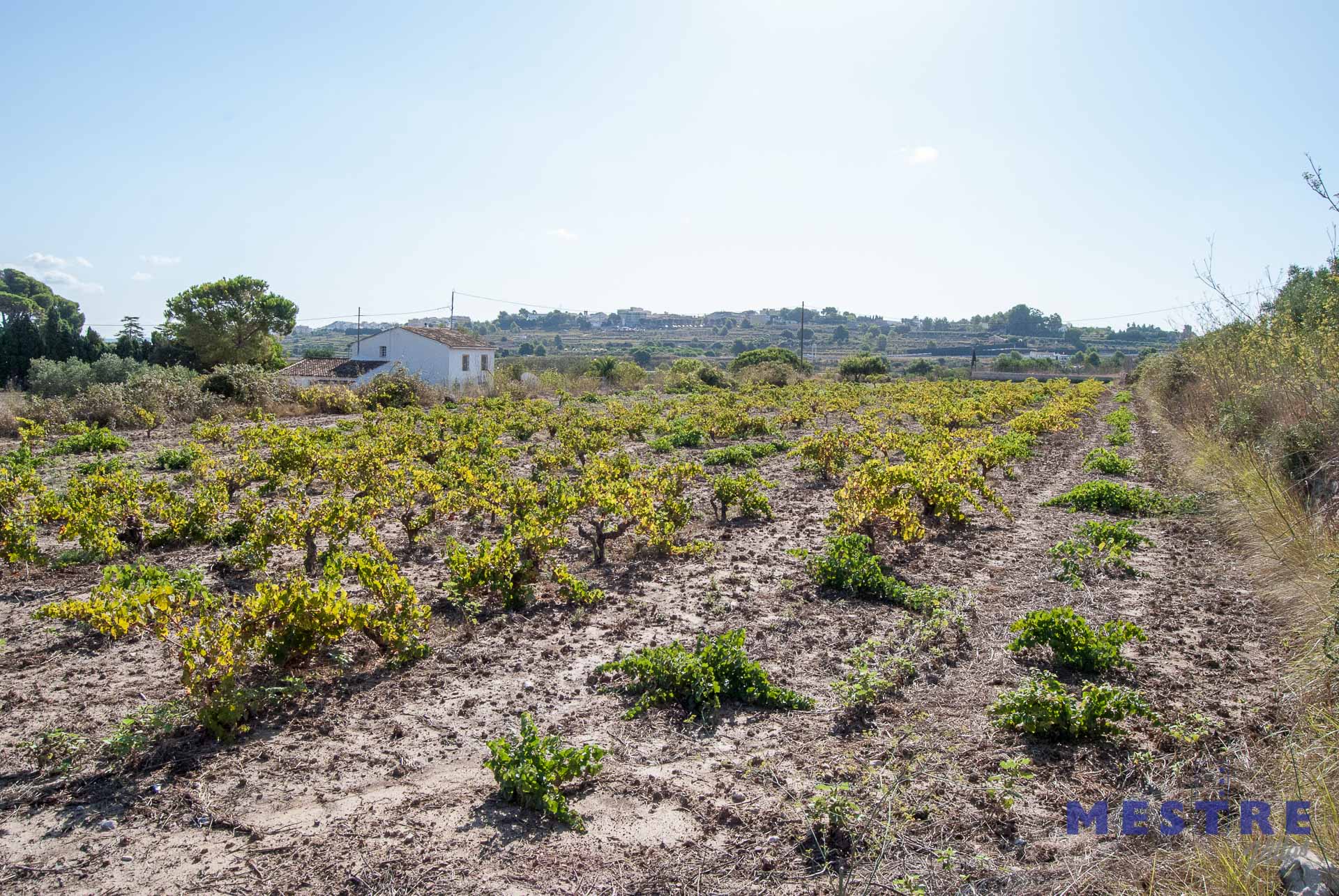 Terreno de 10500m2, en venta en Benissa