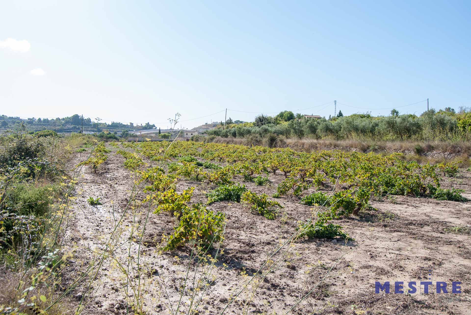 Terreno de 10500m2, en venta en Benissa