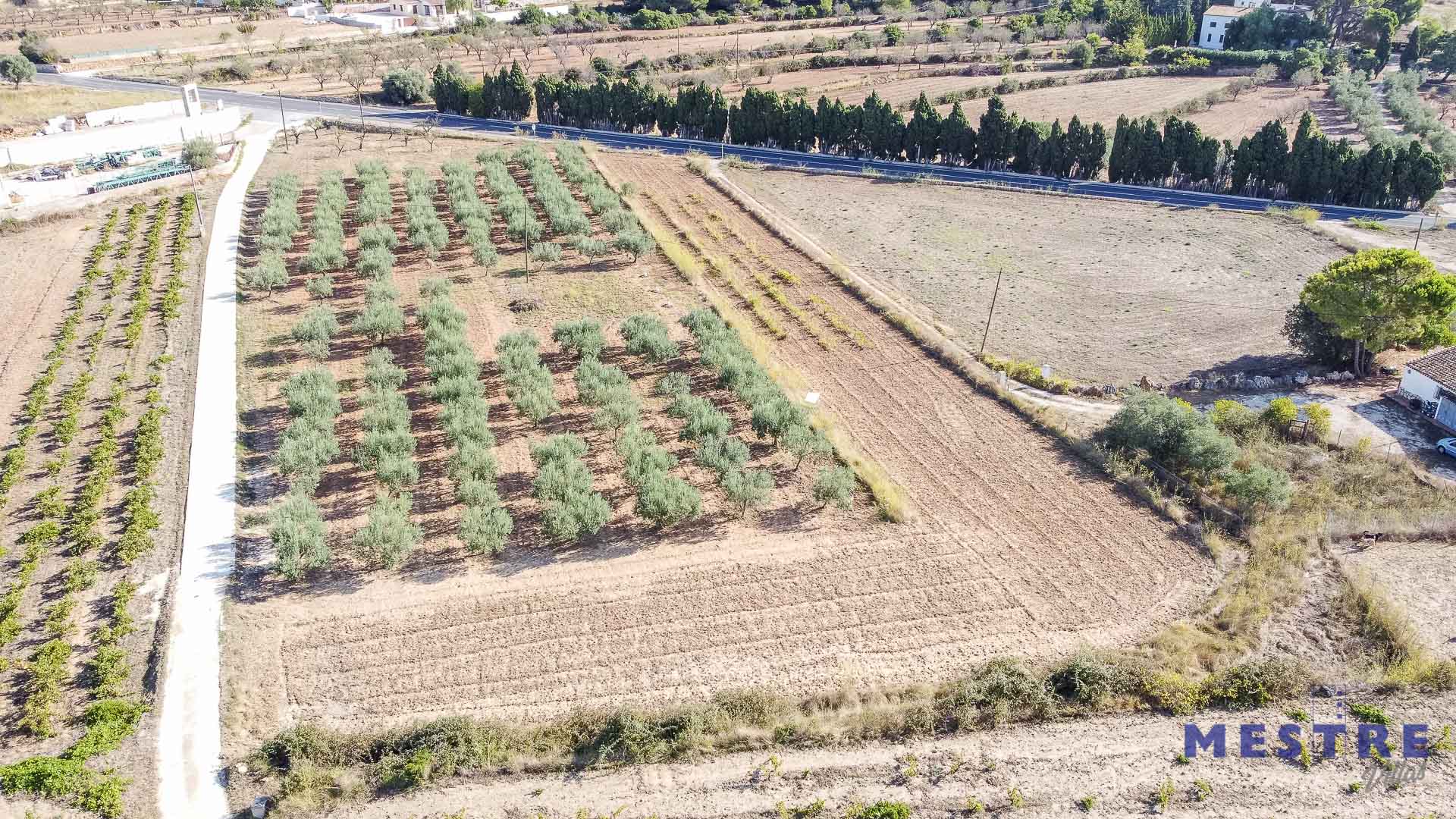 Terreno de 10500m2, en venta en Benissa